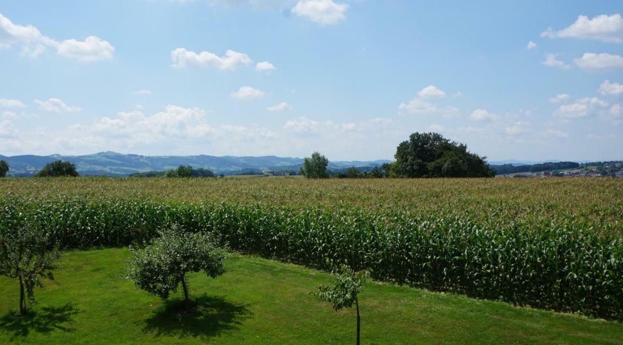 Landhaus Schaidreith Ferschnitz Buitenkant foto